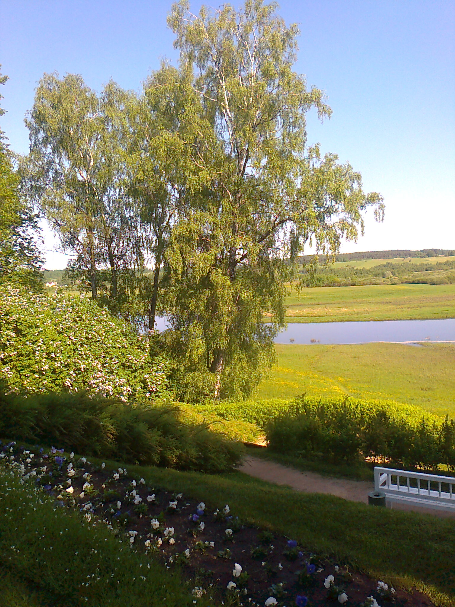 Вид на реку Сороть из дома в Михайловском